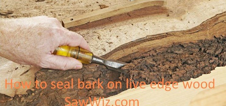How to seal bark on live edge wood